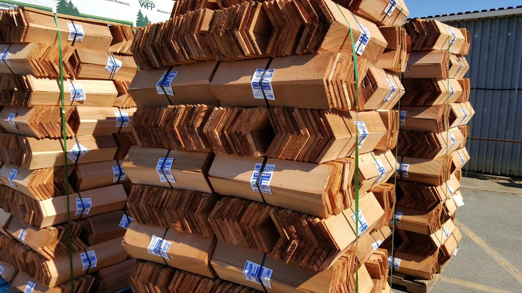 20160317_131204 Surrey Cedar