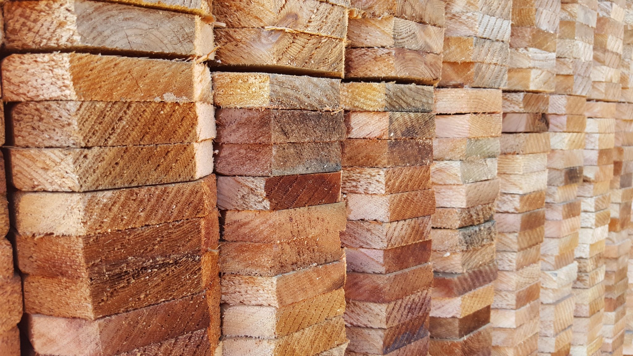 Cedarwood