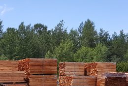 Red Cedar for Moth Control: Mill Direct Lumberyard - Quality Red Cedar