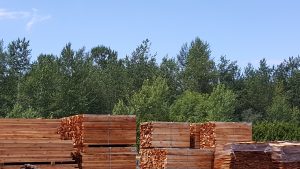 Red Cedar for Moth Control: Mill Direct Lumberyard - Quality Red Cedar