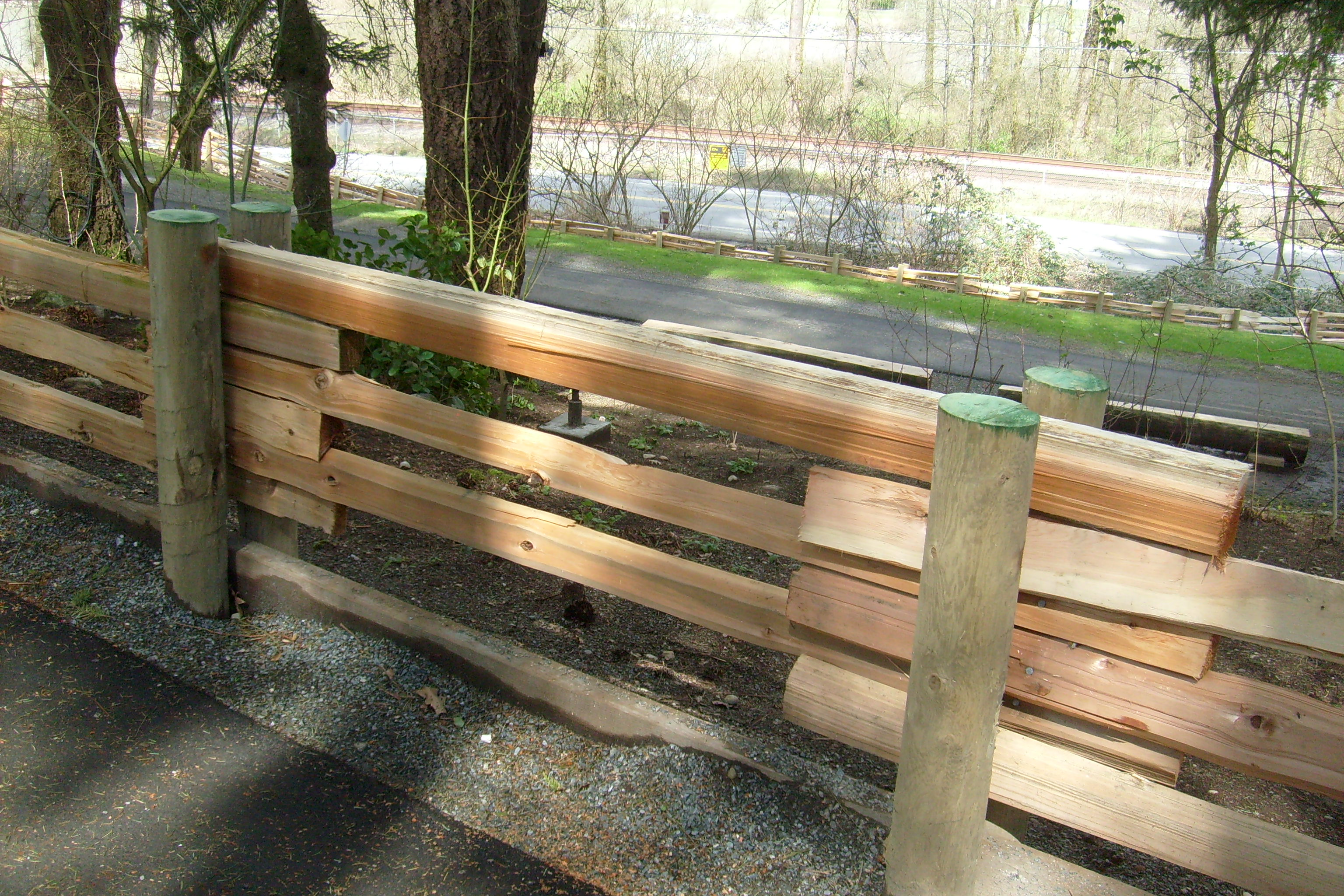 20160317_133017 surrey cedar