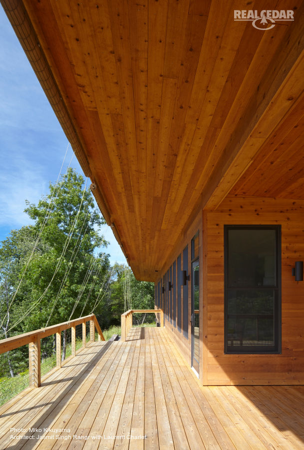 Cedar Soffit