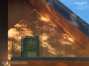 Cedar Soffit