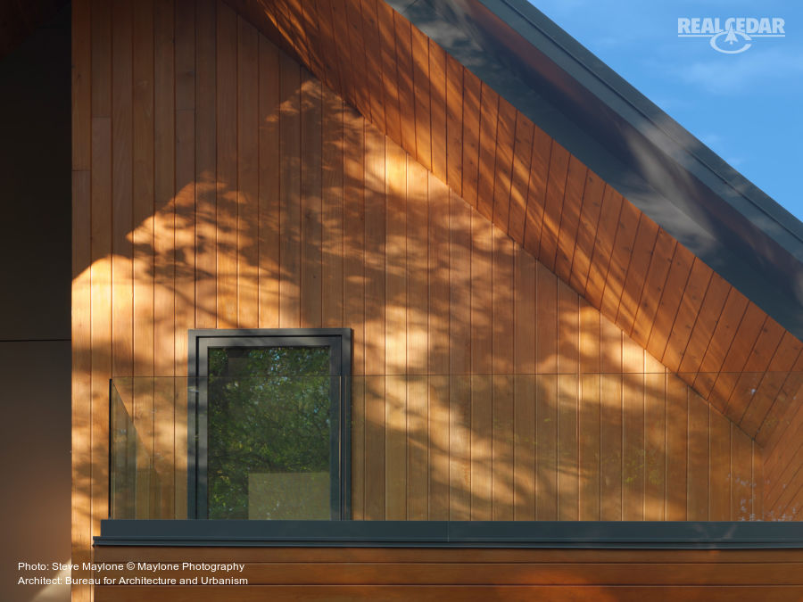 Cedar Soffit