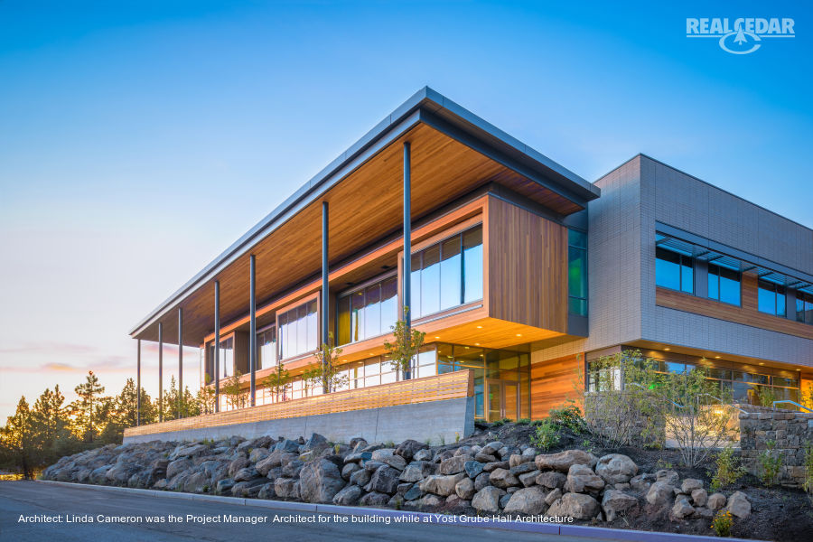 Cedar Soffit